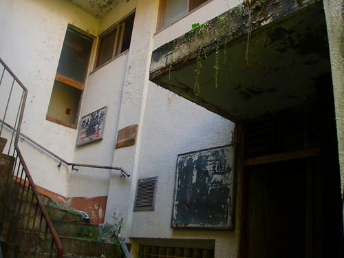 P1010037.jpg