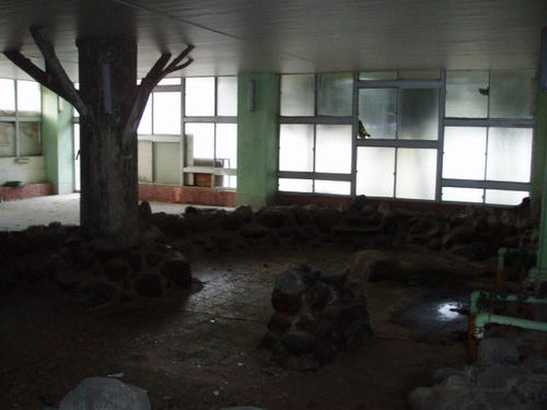 P1012226.JPG