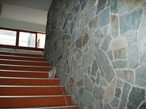 P1012194.JPG