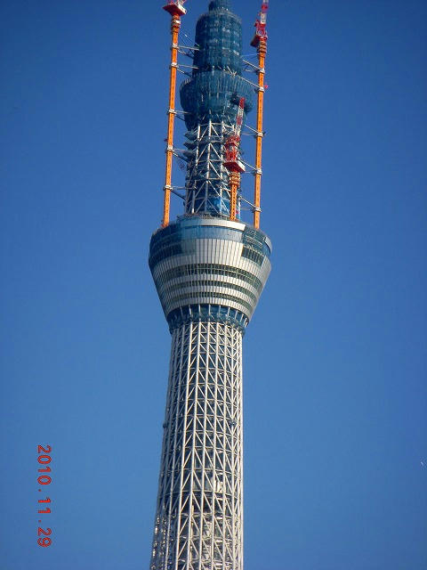 DSCN0959.jpg
