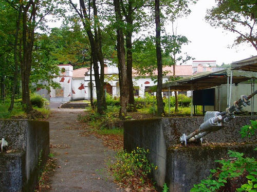 P1011823.jpg