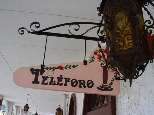 P1011837.jpg