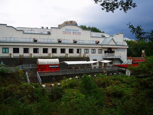 P1011894.jpg