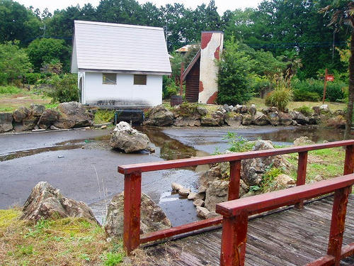 P1011847.jpg