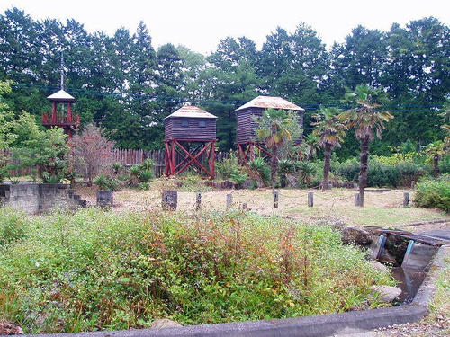 P1011852.jpg