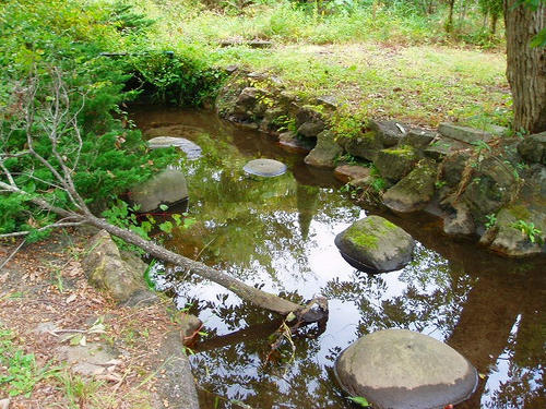 P1011853.jpg