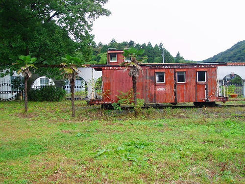 P1011855.jpg