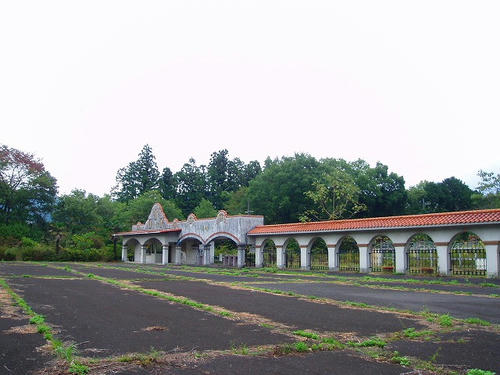 P1011870.jpg