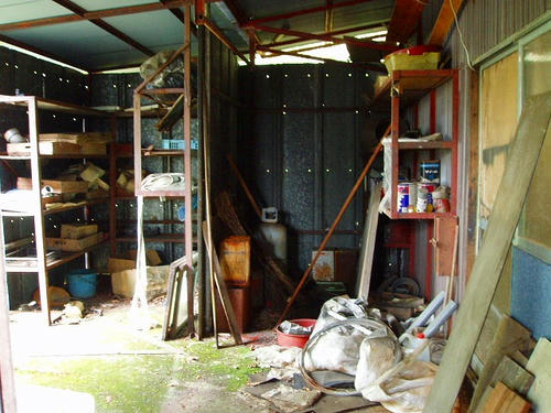 P1011885.jpg