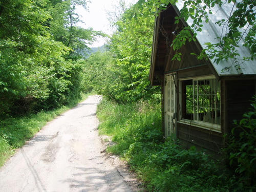 P1010015.JPG