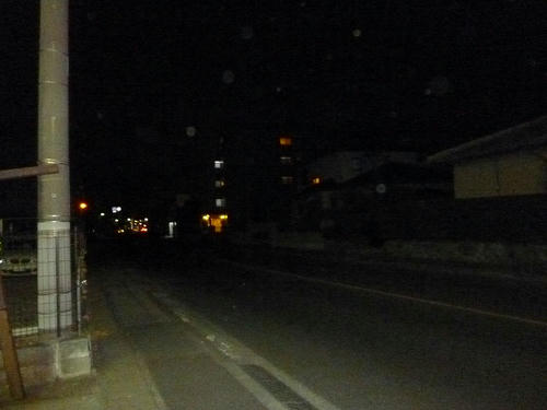 P1020857.jpg