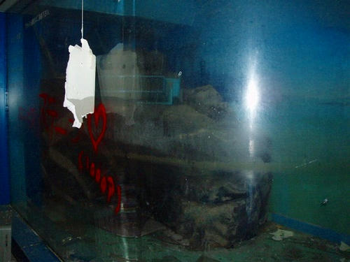 P1010124.jpg