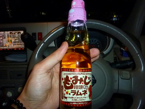 P1030135.jpg