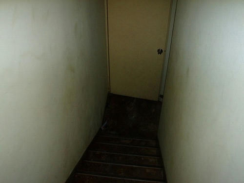 P1010232.jpg