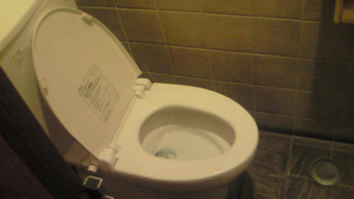 201003061906000.jpg