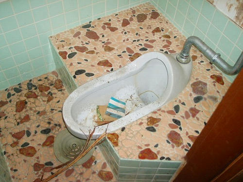 P1010573.jpg