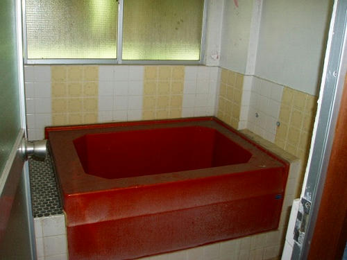 P1010575.jpg