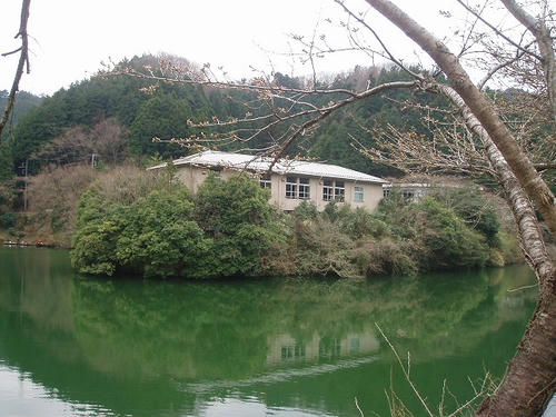 P1011272.jpg