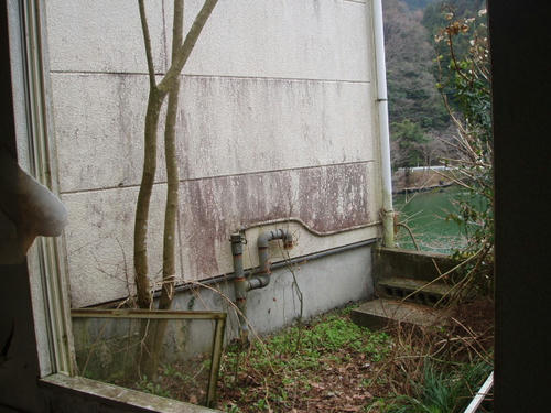 P1011111.JPG