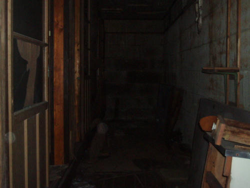 P1011157.JPG