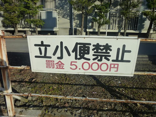 P1020620.jpg