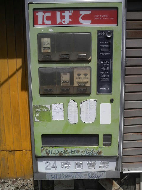 P1000135.jpg