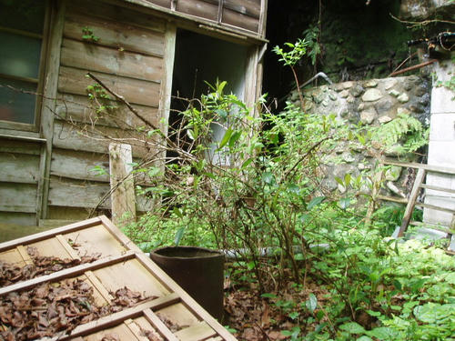 P1010426.JPG