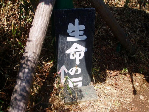 P1010584.jpg