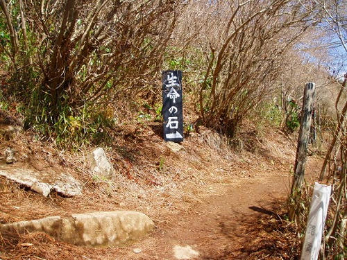 P1010587.jpg