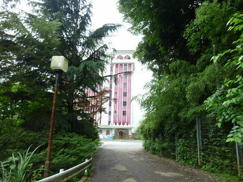 P1050876.jpg