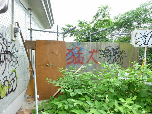 P1050883.jpg