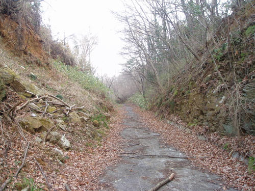 P1010855.JPG