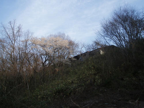 P1010856.JPG