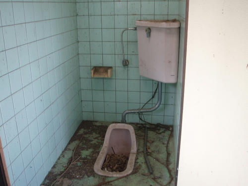 P1010843.JPG