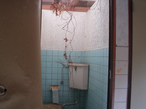 P1010848.JPG