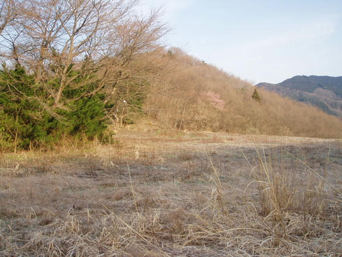 P1010839.JPG