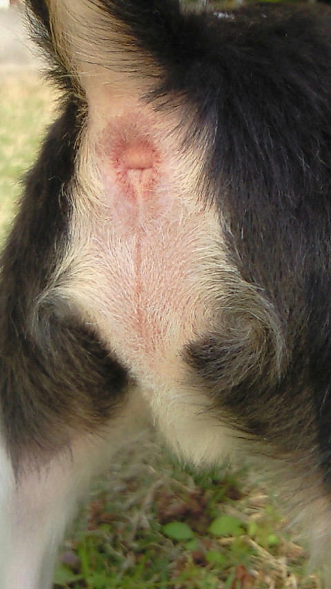 NEC_0386.jpg