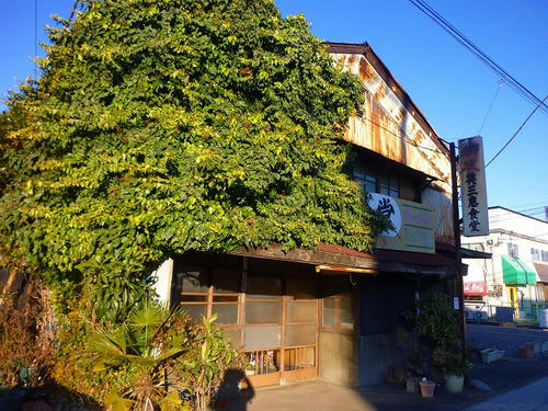 P1020973.jpg