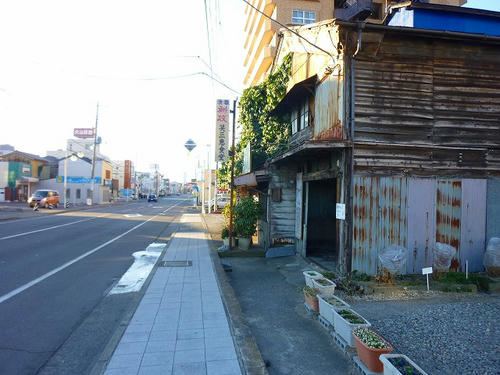 P1020986.jpg