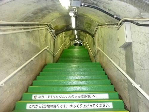 P1070106.jpg