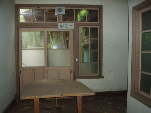 315acde3.jpeg