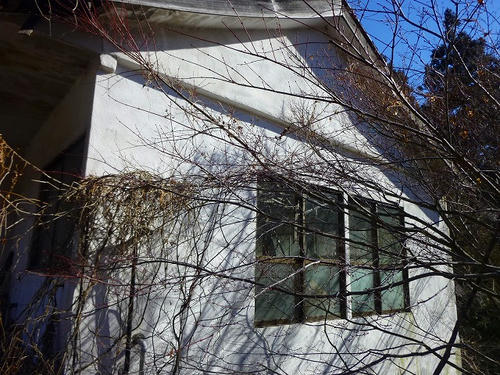 P1020754.jpg