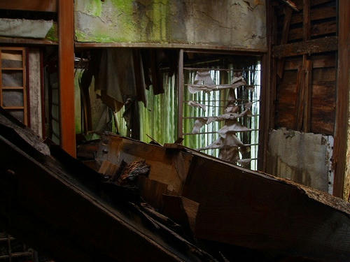 P1012154.jpg