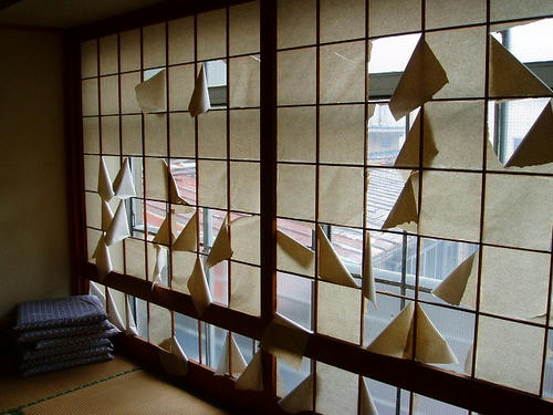 P1012178.jpg