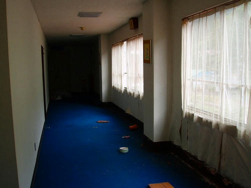 P1011946.jpg