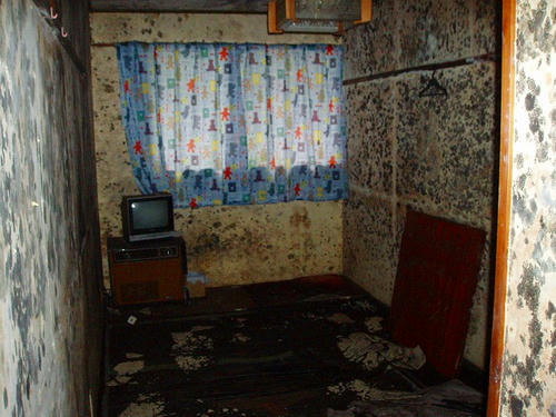 P1012094.jpg