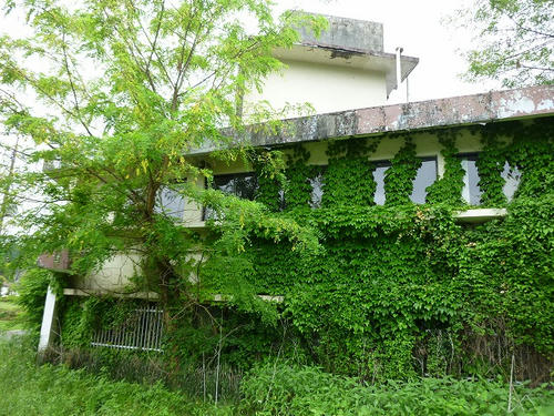 P1050813.jpg