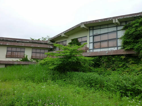 P1050816.jpg