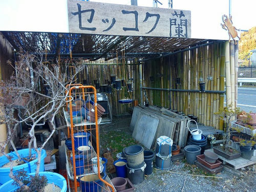 P1020801.jpg