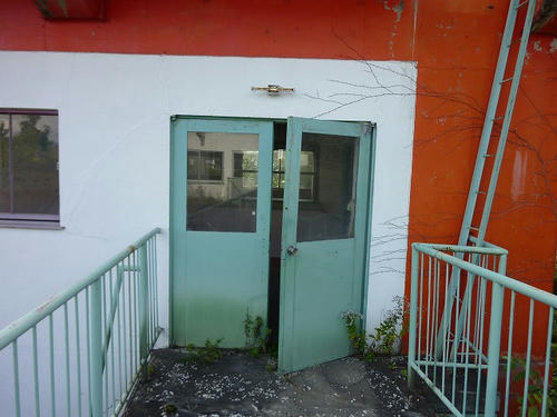 P1000478.jpg